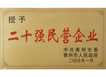 二十強(qiáng)民營企業(yè)